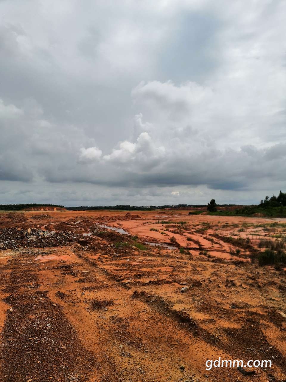 20190804_3280271_1564906922938.jpg