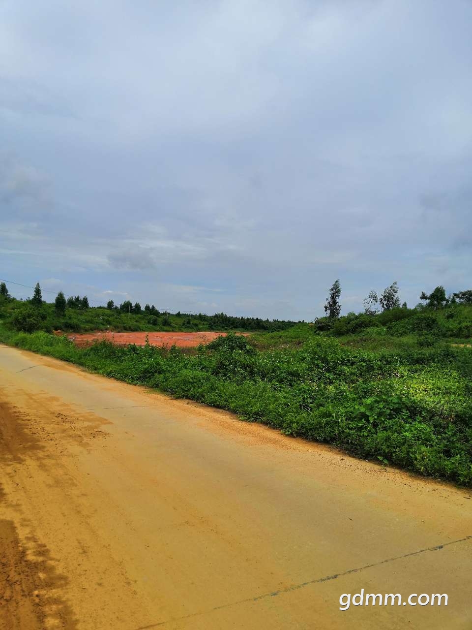 20190804_3280271_1564906923281.jpg