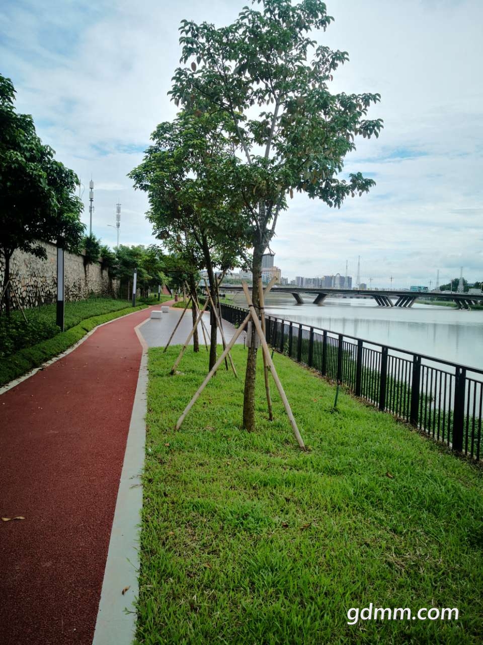 20190804_373927_1564909301086.jpg
