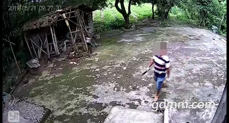 20190806_454475_1565088963490.png
