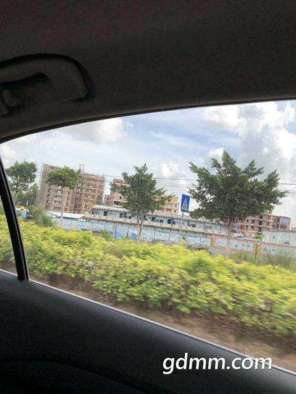 20190807_3212442_1565150991468.jpg
