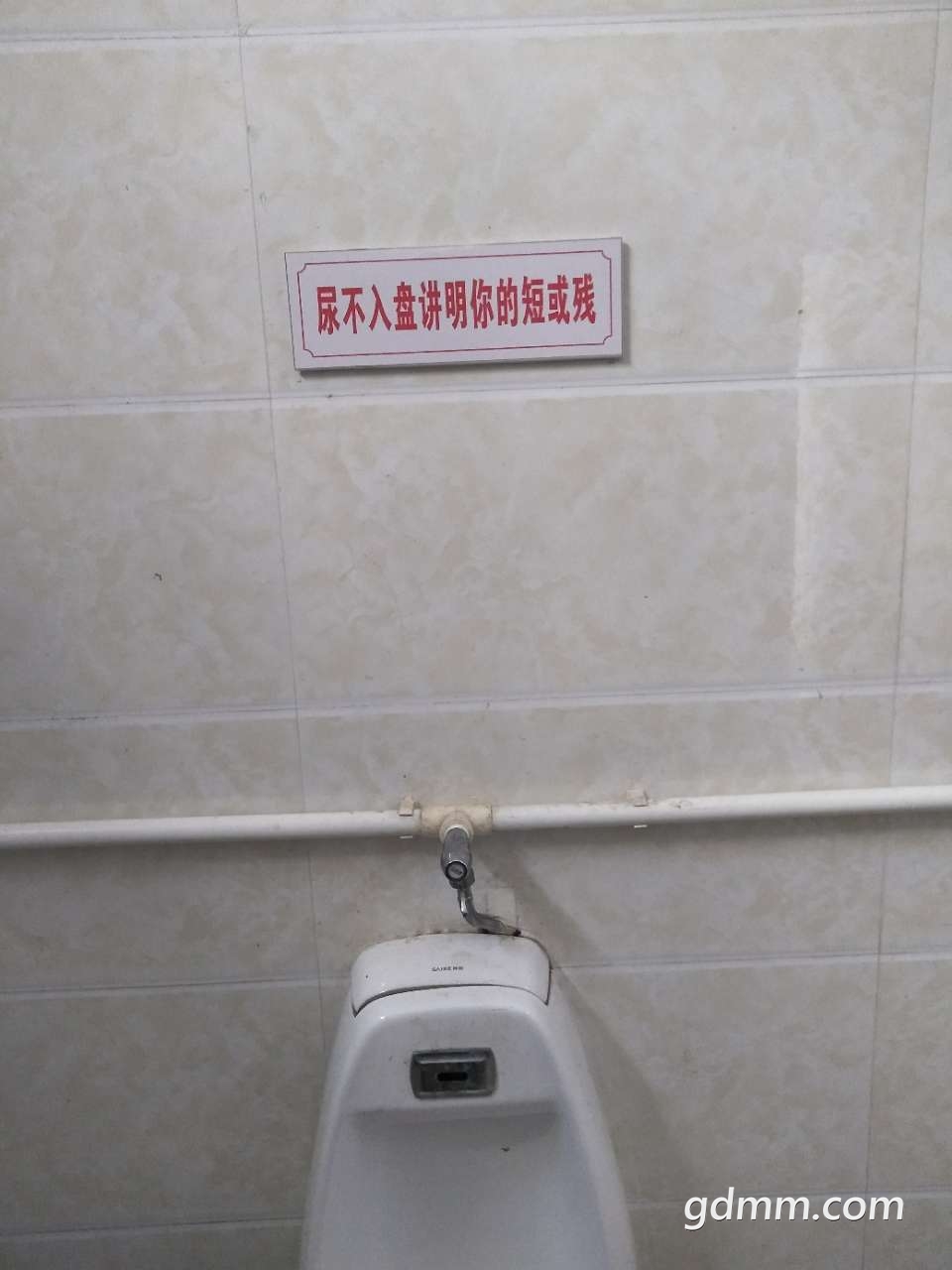 20190809_3253498_1565349956793.jpg