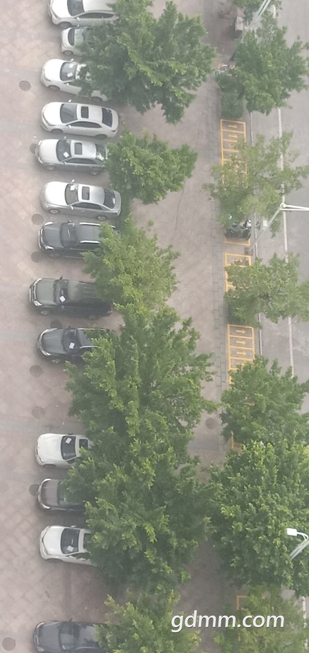 2019081032809731565401623448432.jpg