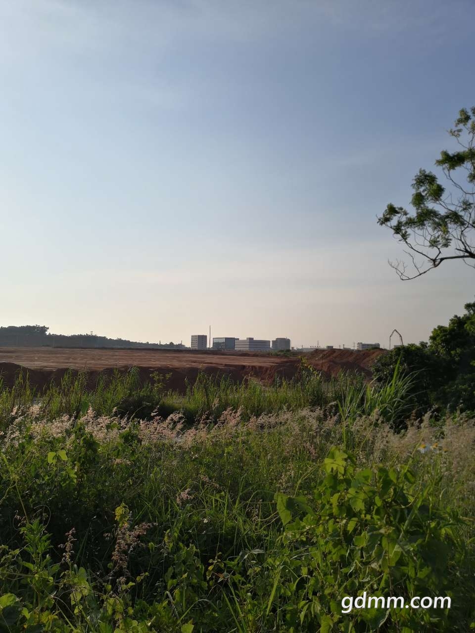 20190810_3280271_1565441638328.jpg
