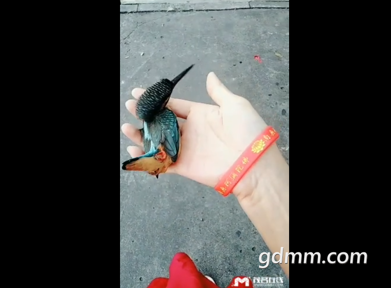 QQͼ20190811100740.png