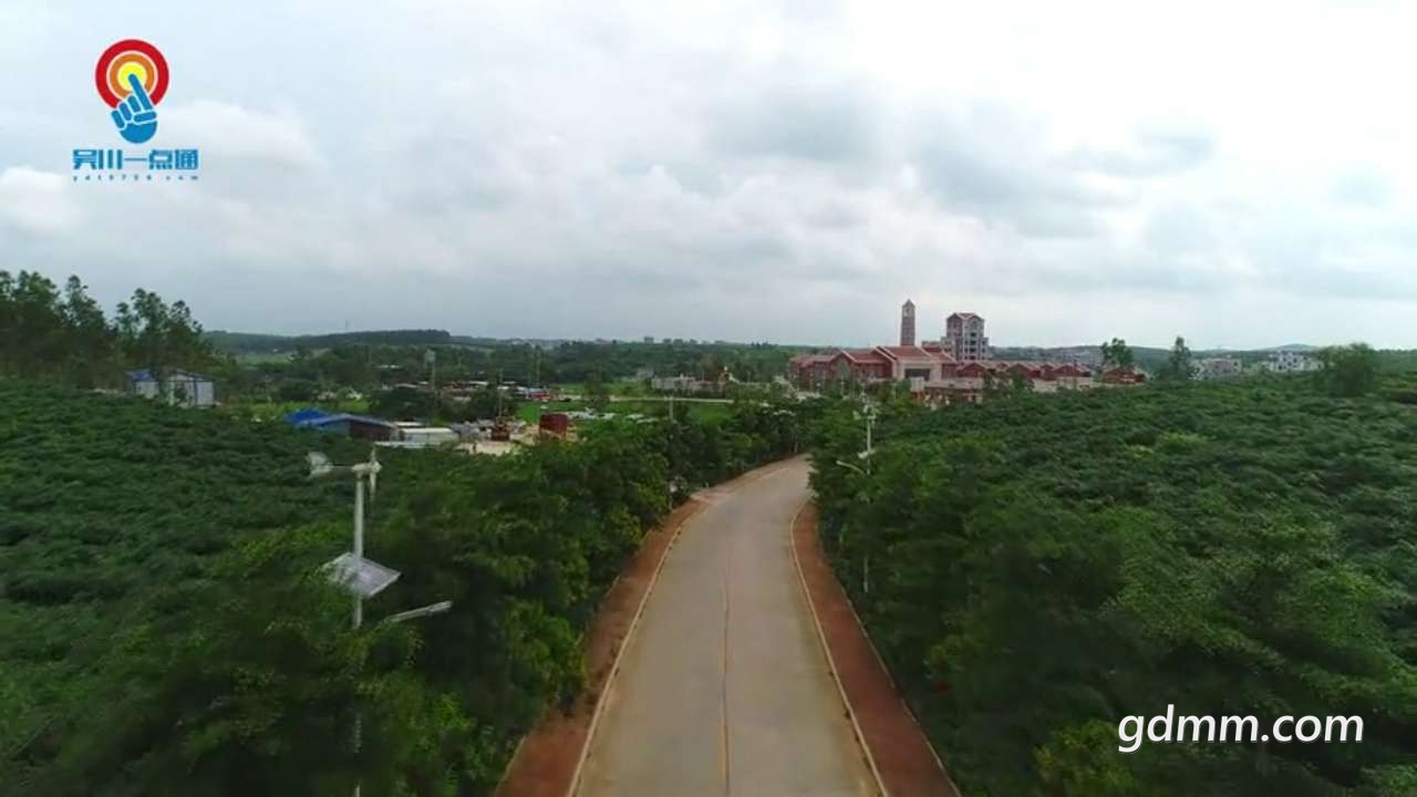 20190811_3258223_1565509742377.jpg