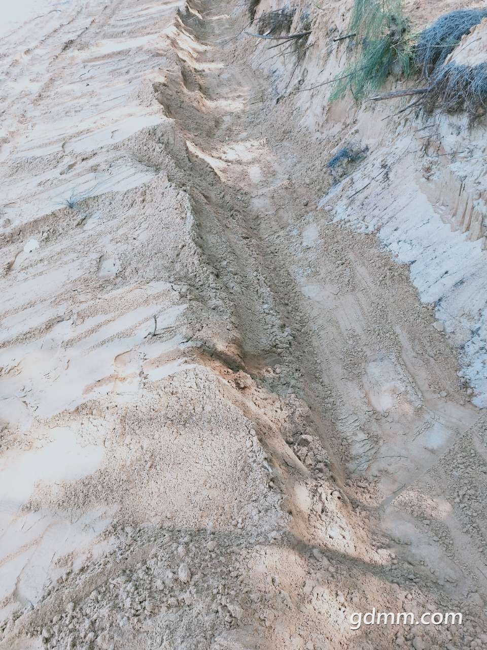 20190811_375653_1565510614029.jpg