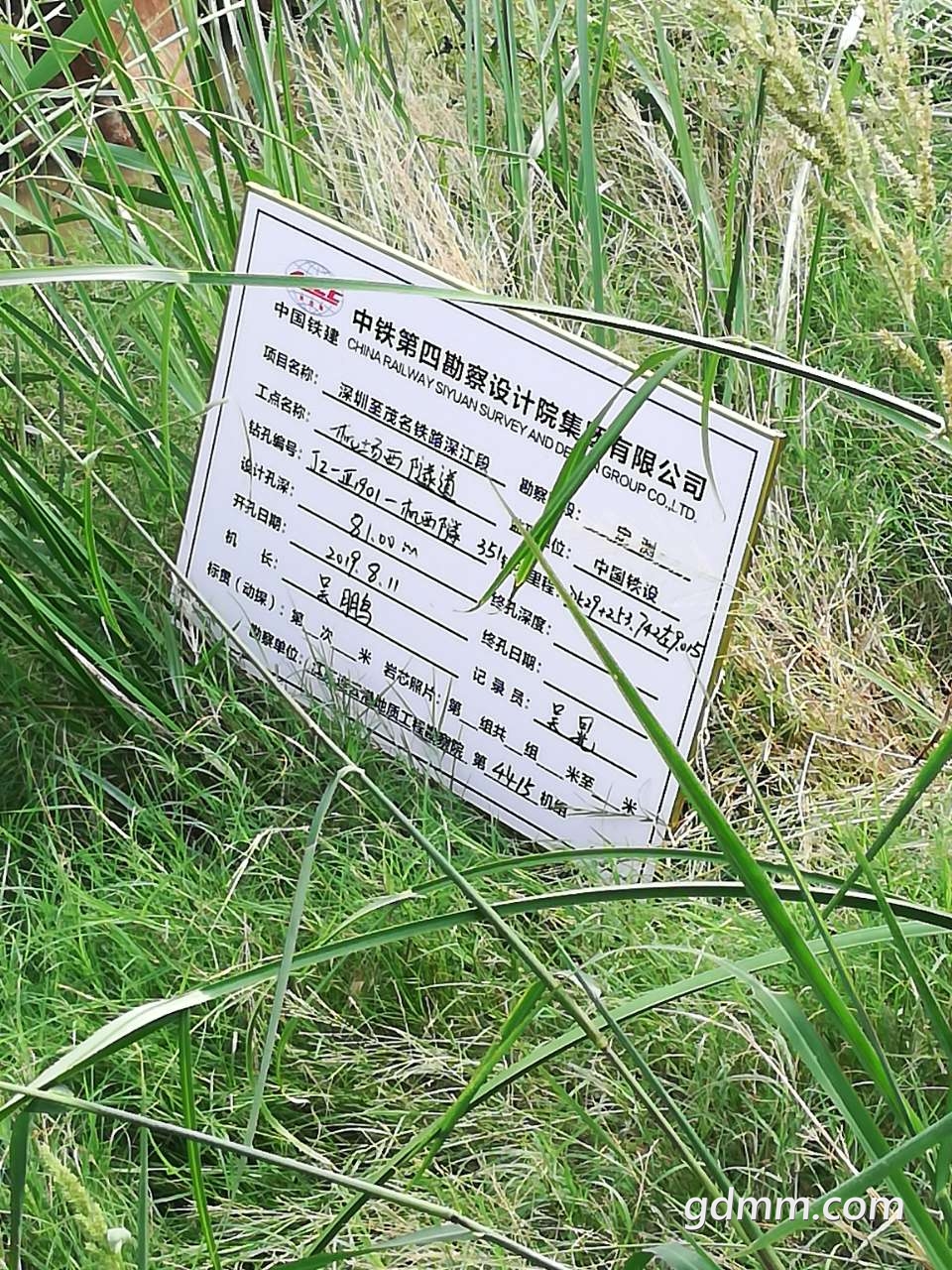 20190811_3257881_1565529266135.jpg
