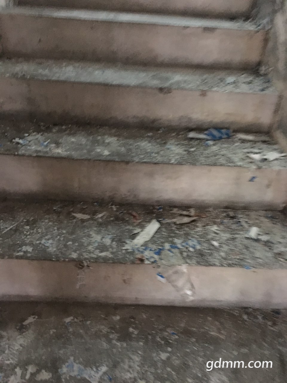 2019081212750731565575447741507.jpg