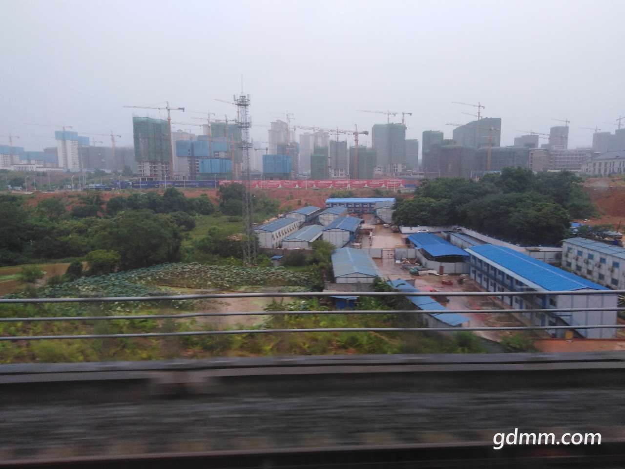 20190816_3281776_1565943683969.jpg