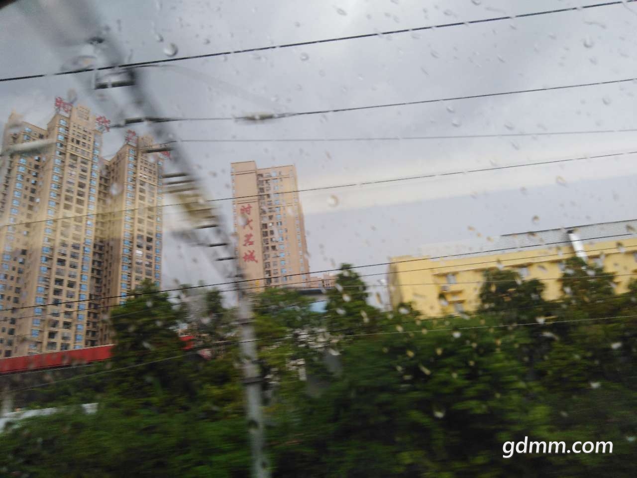 20190816_3281776_1565943911137.jpg