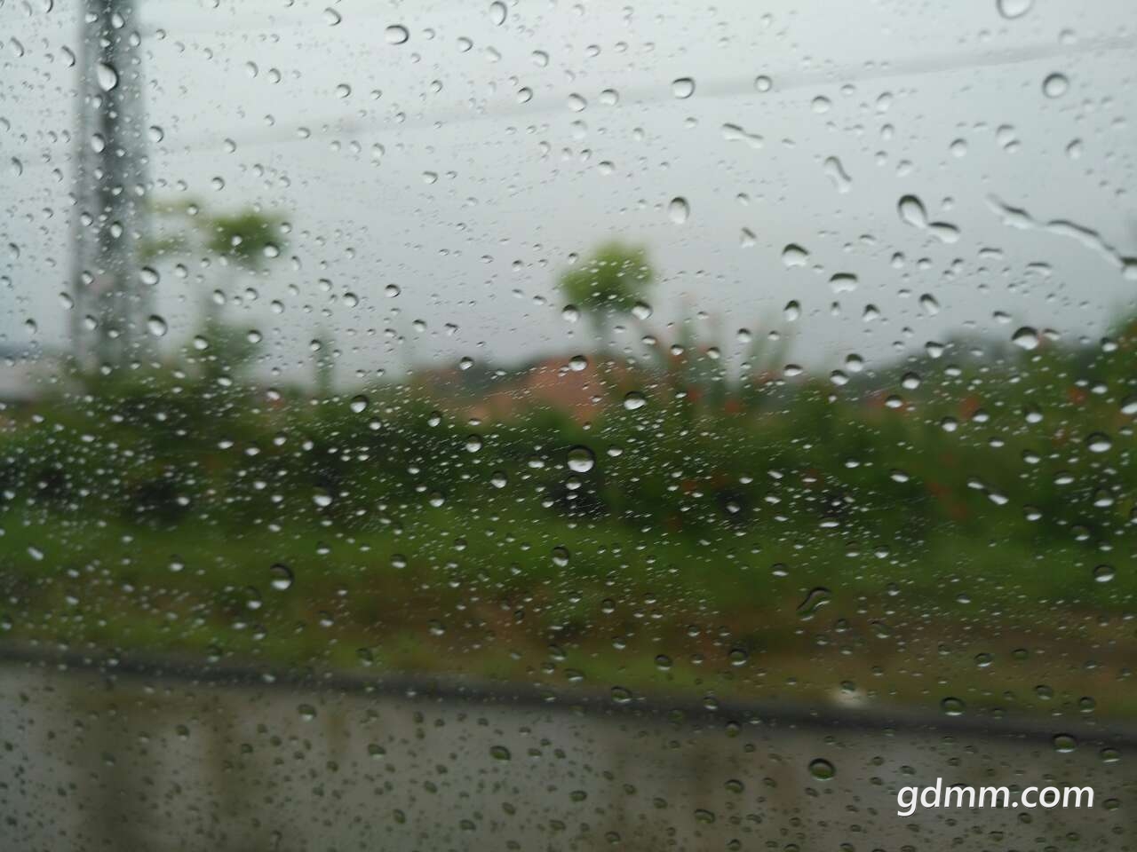 20190817_3274461_1566012185918.jpg