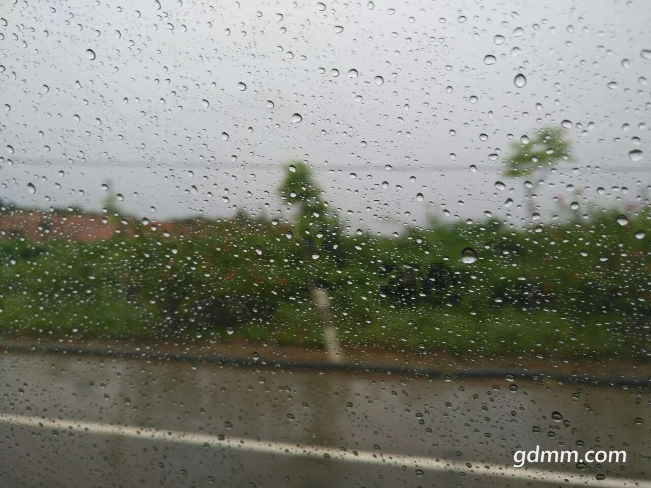 20190817_3274461_1566012188087.jpg