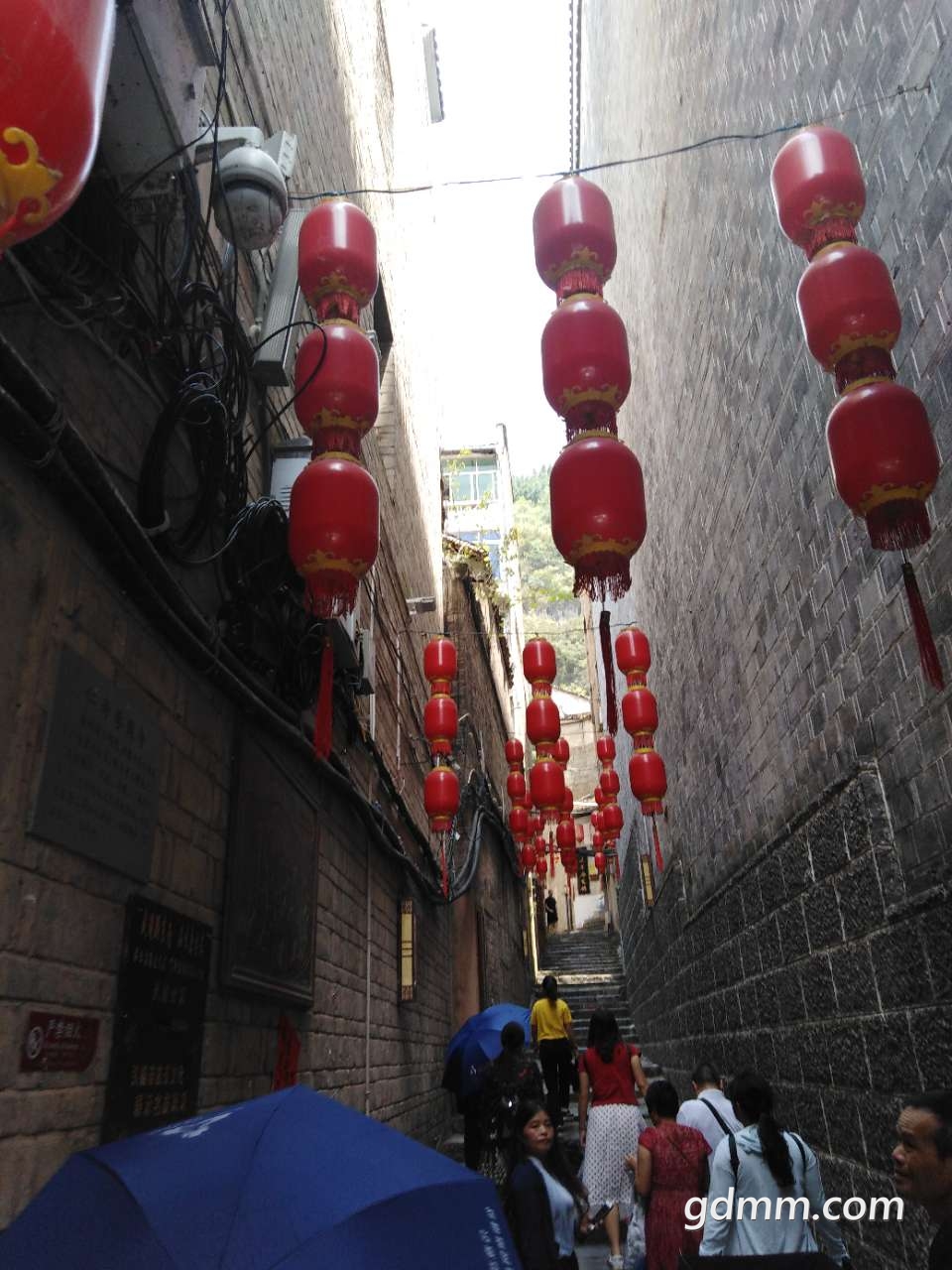 20190818_3281776_1566105338544.jpg