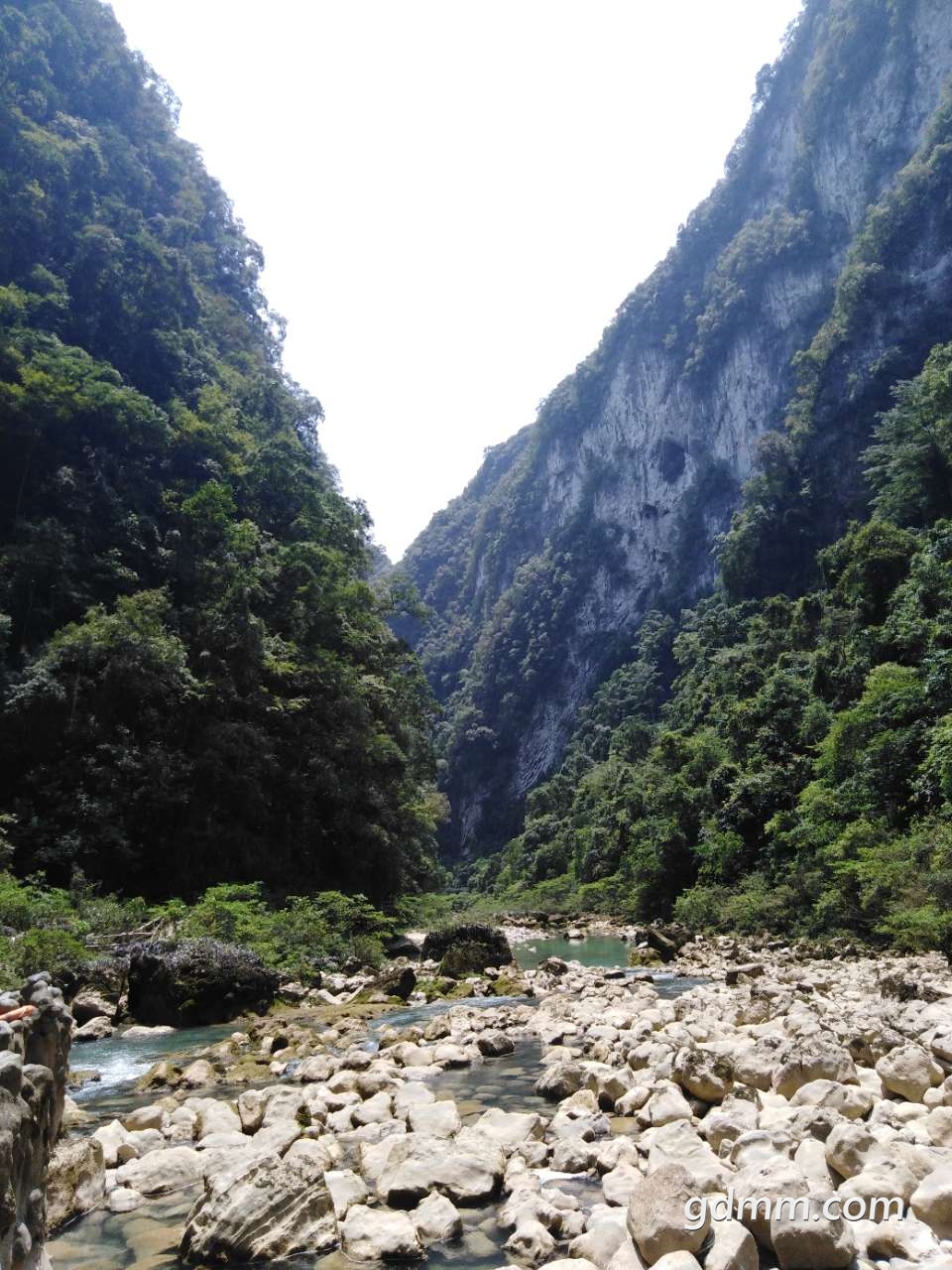 20190819_3281776_1566213742230.jpg