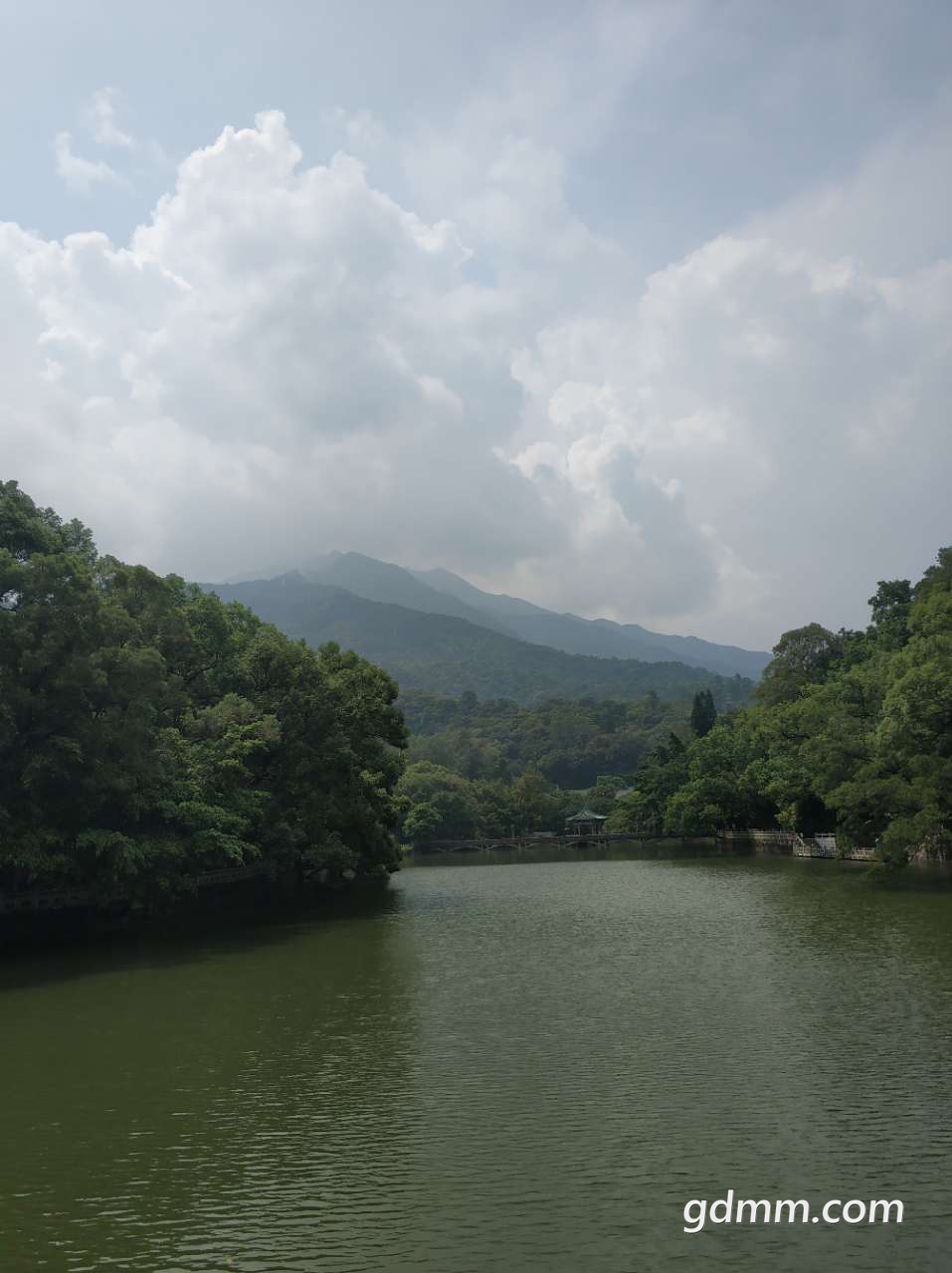 20190821_3284285_1566369148001.jpg