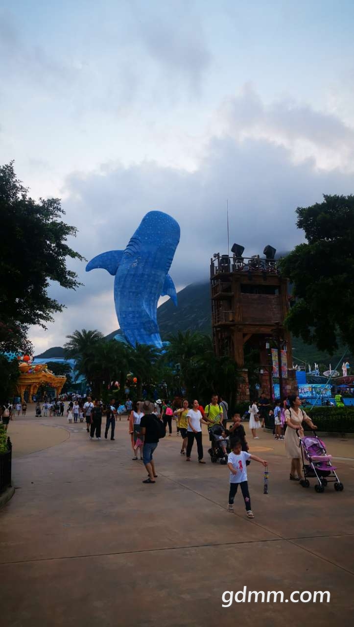 20190823_3276541_1566550027736.jpg