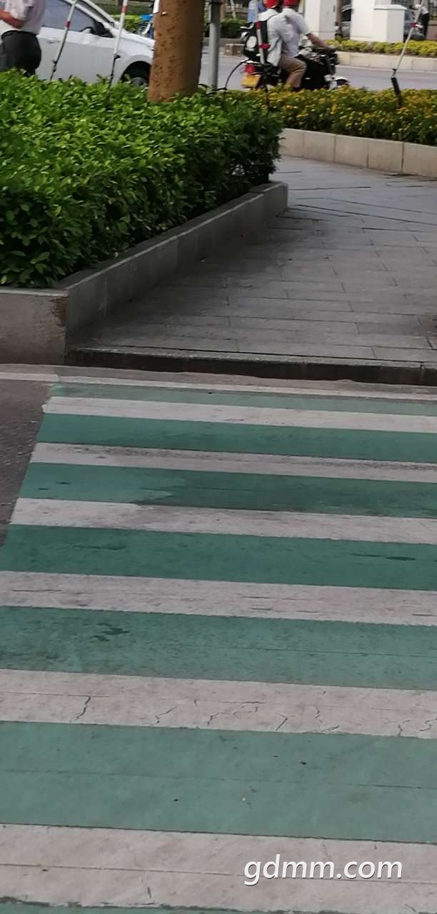 20190825_3195831_1566694914892.jpg