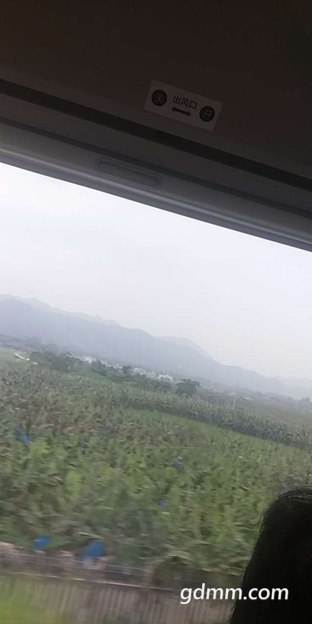 20190825_3270376_1566706181328.jpg
