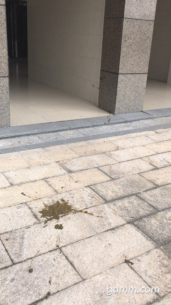2019082532909921566707548012792.jpg