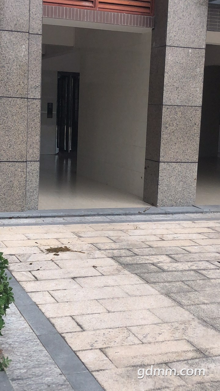 2019082532909921566707548068687.jpg