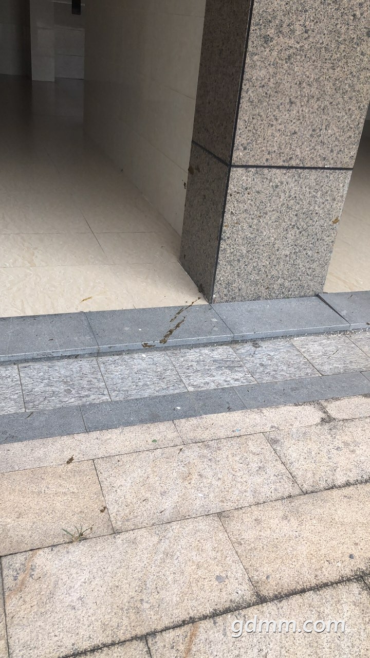 2019082532909921566707548043995.jpg