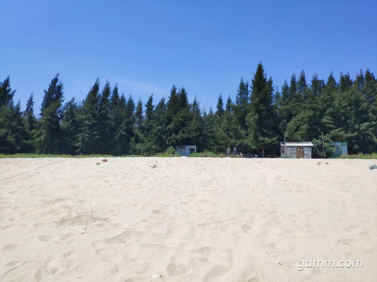 20190827_3274307_1566874925106.jpg