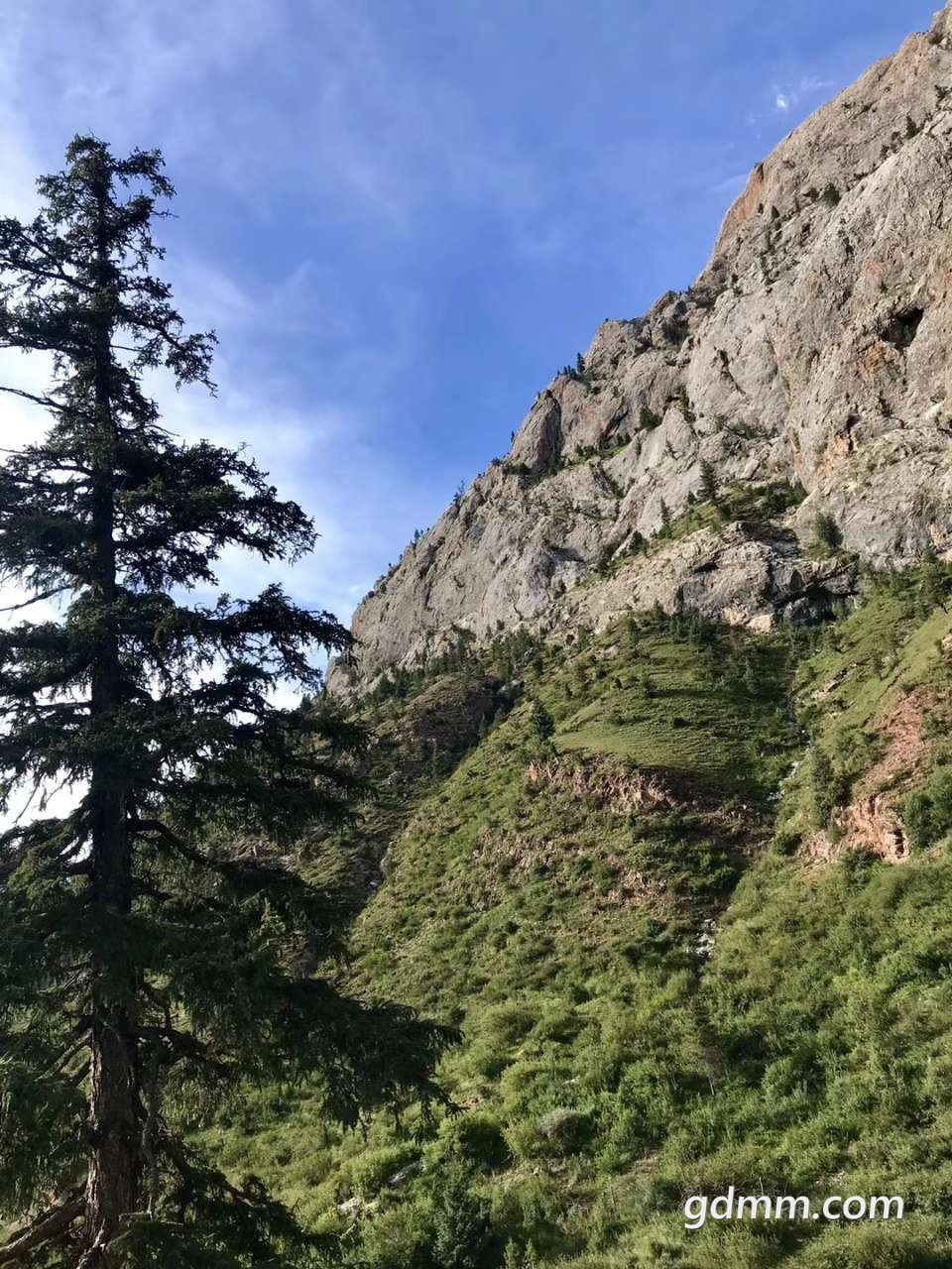 20190827_3265305_1566913545297.jpg