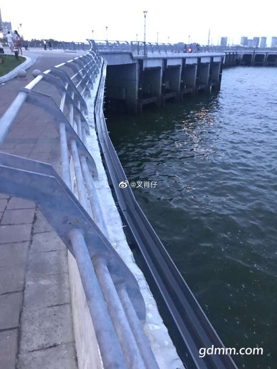 20190831_3284459_1567228705062.jpg