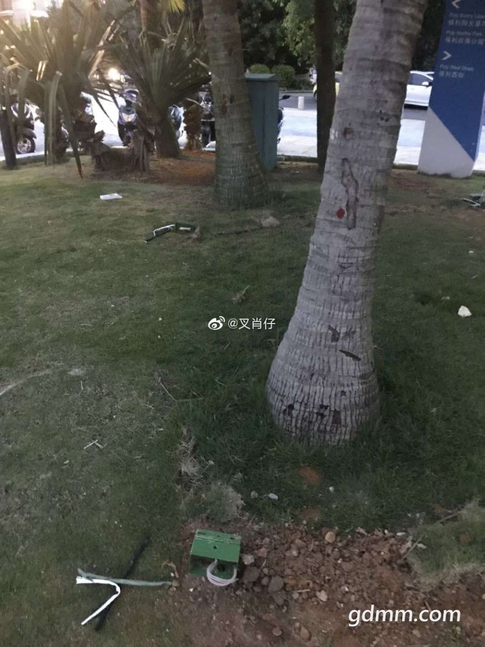 20190831_3284459_1567228705262.jpg