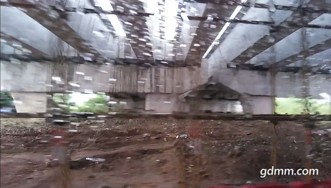 20190901_3281776_1567309069070.jpg