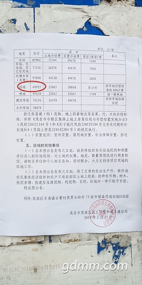 2019090232670431567392322429195.jpg