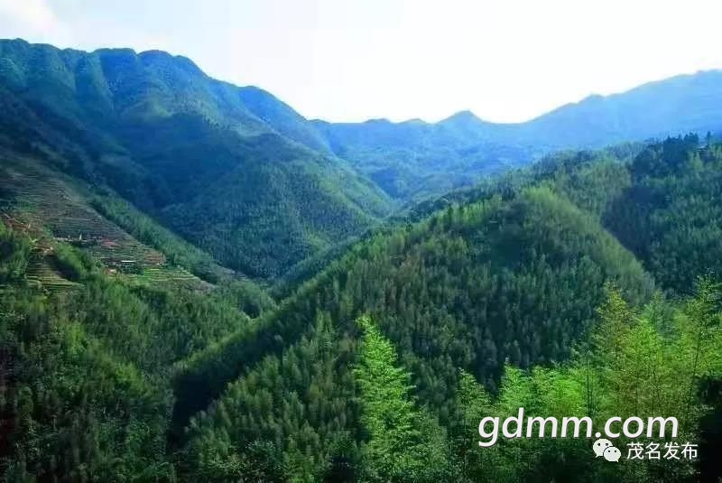 ˣïؼɭֳ