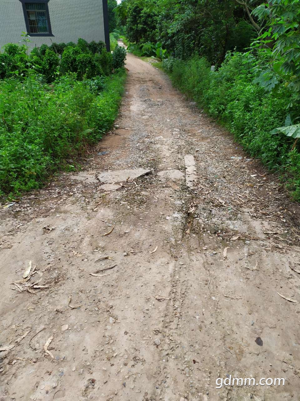 20190902_465002_1567421170350.jpg