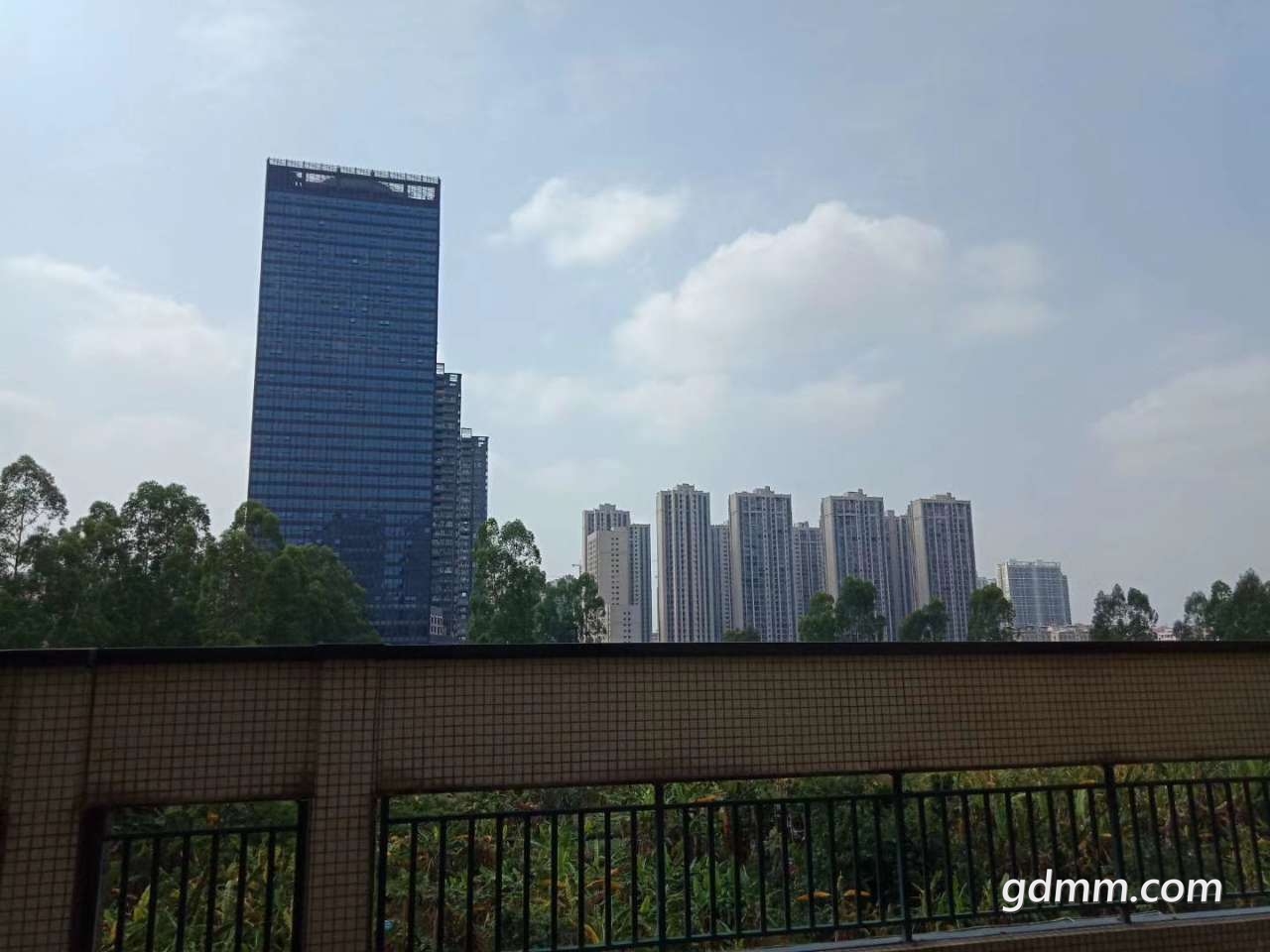20190903_391289_1567500775861.jpg