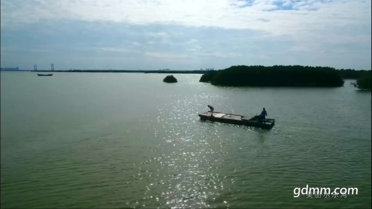 20190904_3286678_1567573833452.jpg