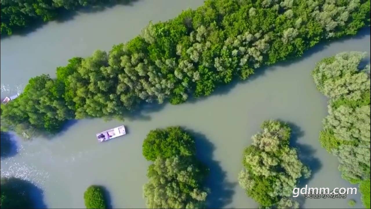 20190904_3286678_1567573833571.jpg
