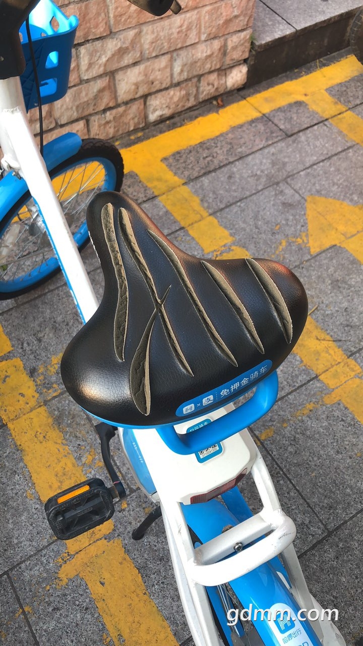 2019090632124631567763815680854.jpg
