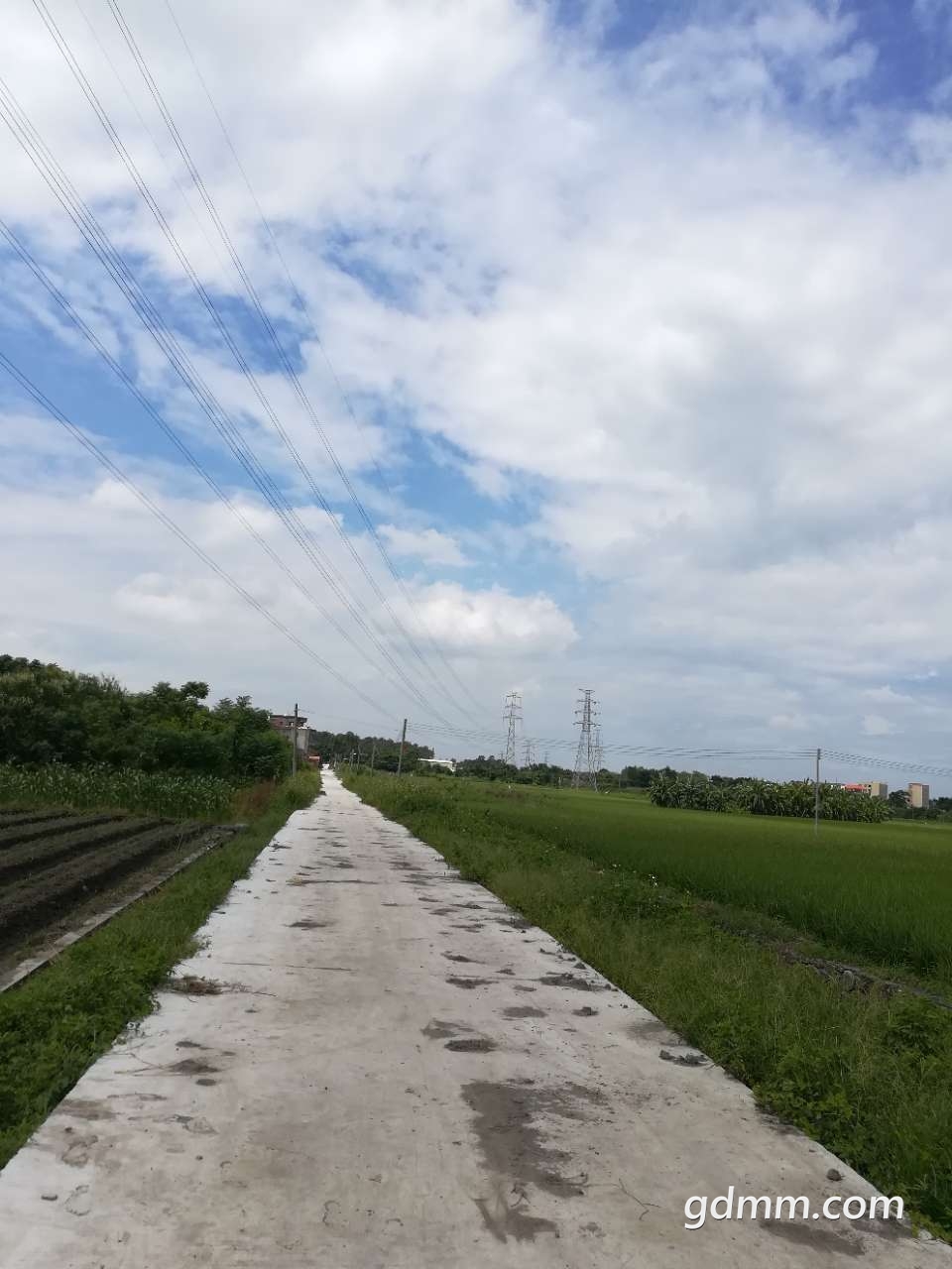 20190906_3271068_1567782656786.jpg