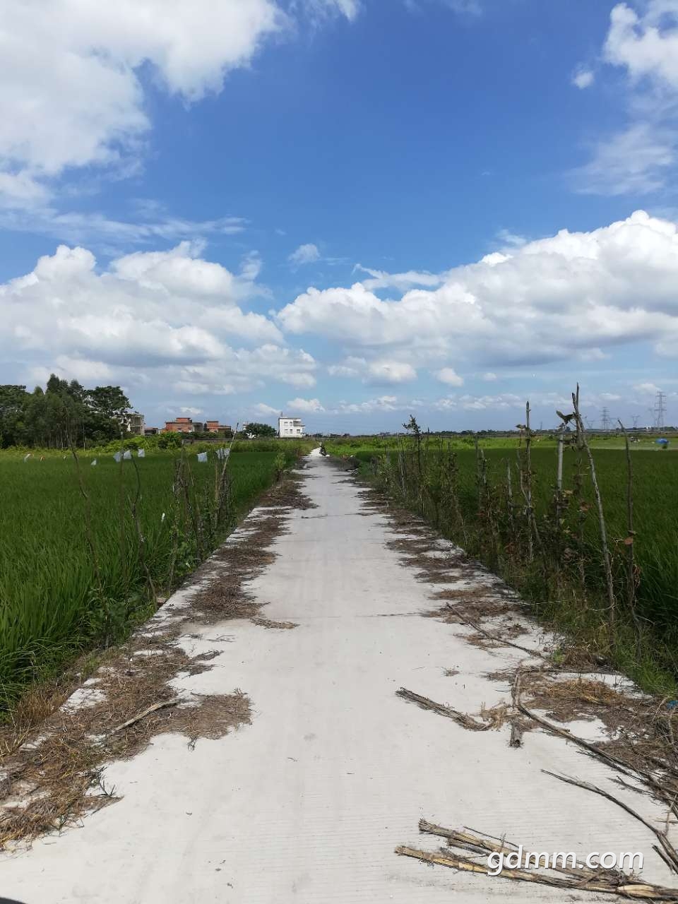 20190906_3271068_1567782658428.jpg