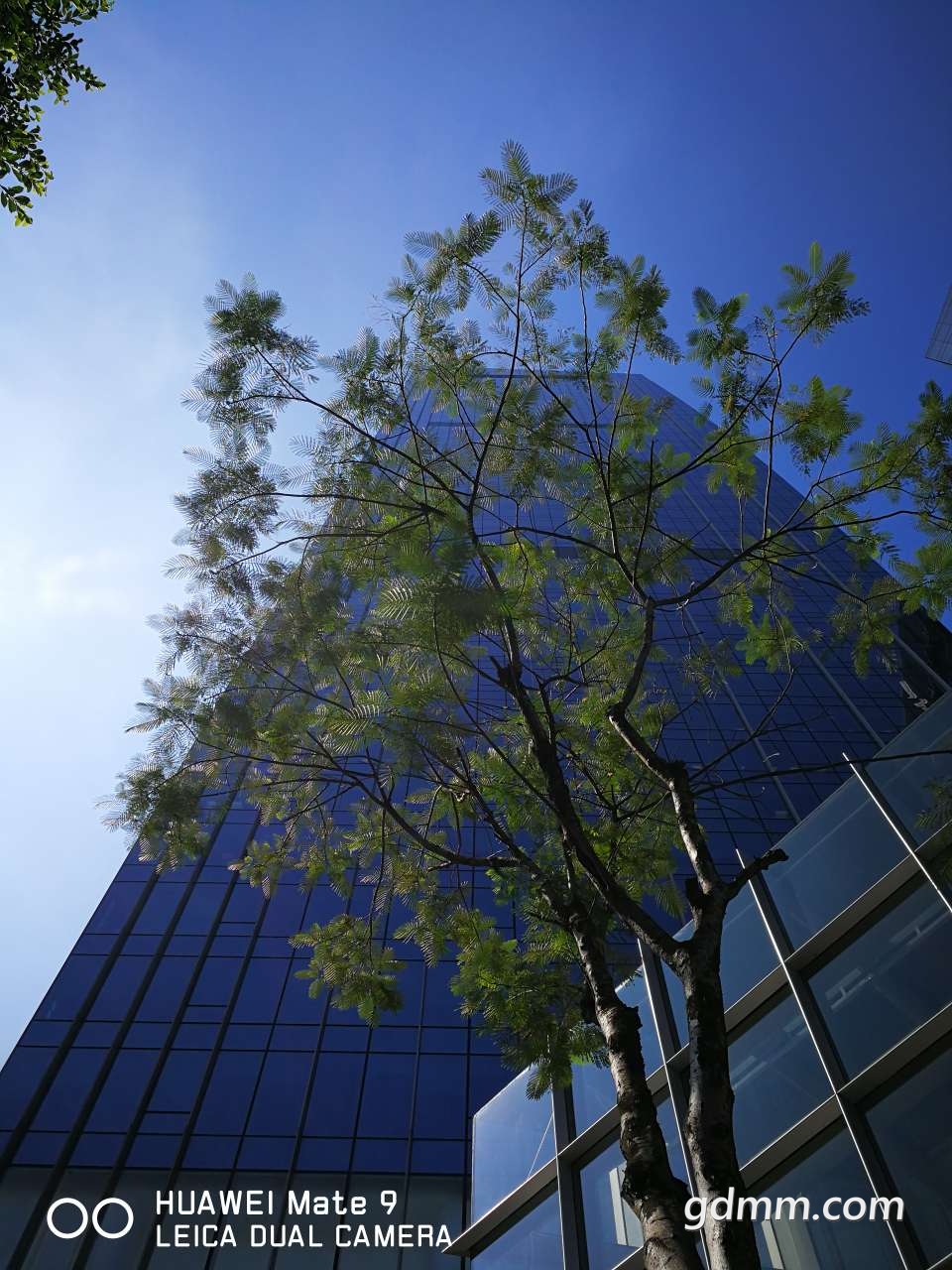 20190908_3276746_1567897045399.jpg