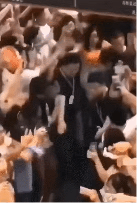 2019091032836481568087514135264.gif