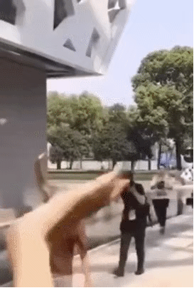 2019091032836481568087514135457.gif