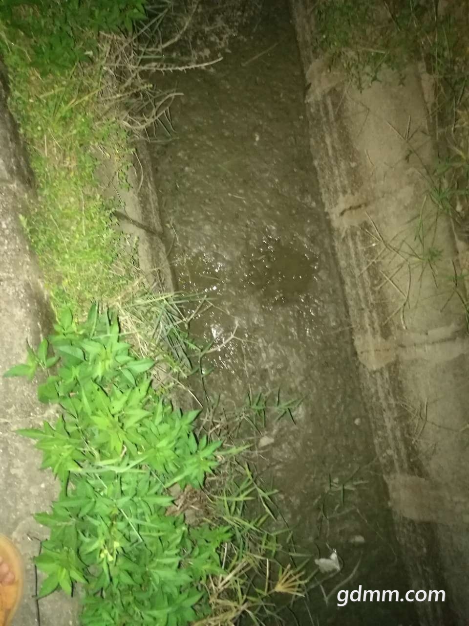 20190911_3273657_1568206500559.jpg