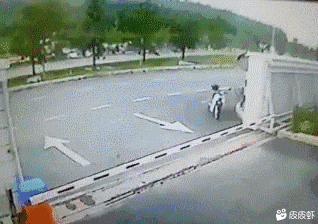 2019091232685651568259992829004.gif