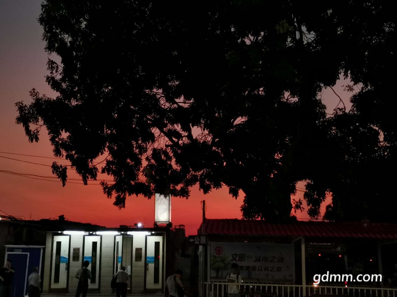 20190912_3276746_1568286582800.jpg