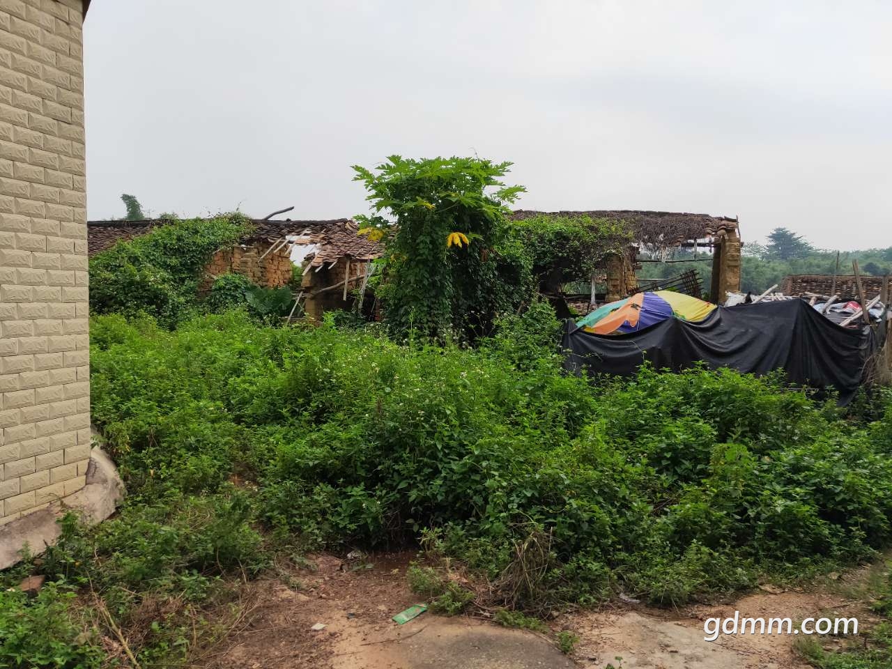 茂名市茂南区镇盛镇元亨龙坑村