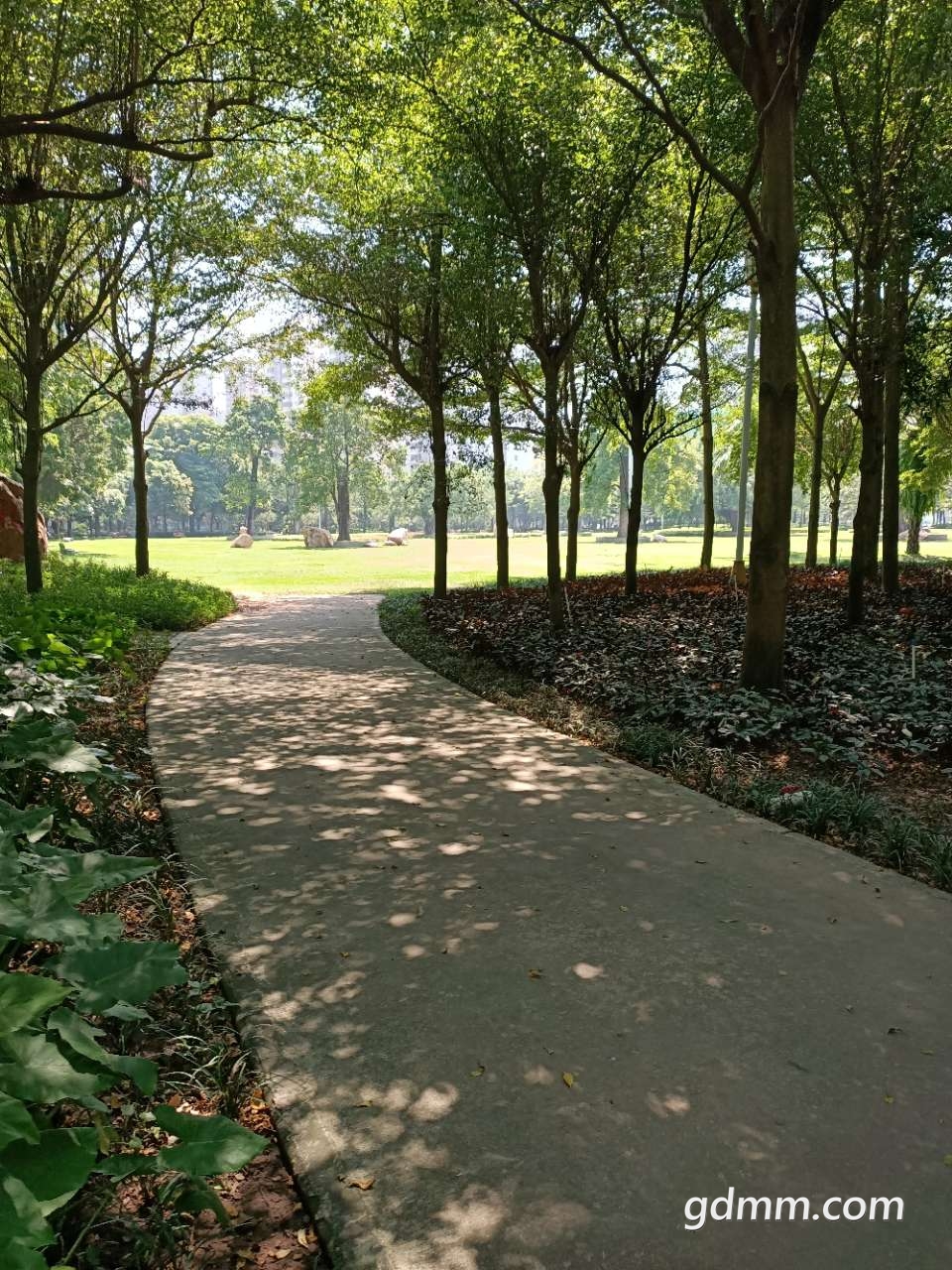 20190921_3279370_1569037530843.jpg