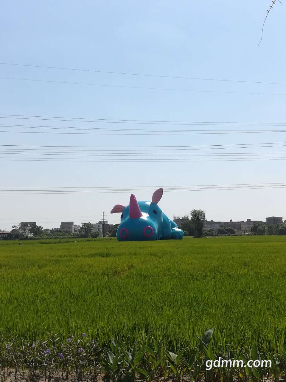 20190924_3271068_1569264883642.jpg