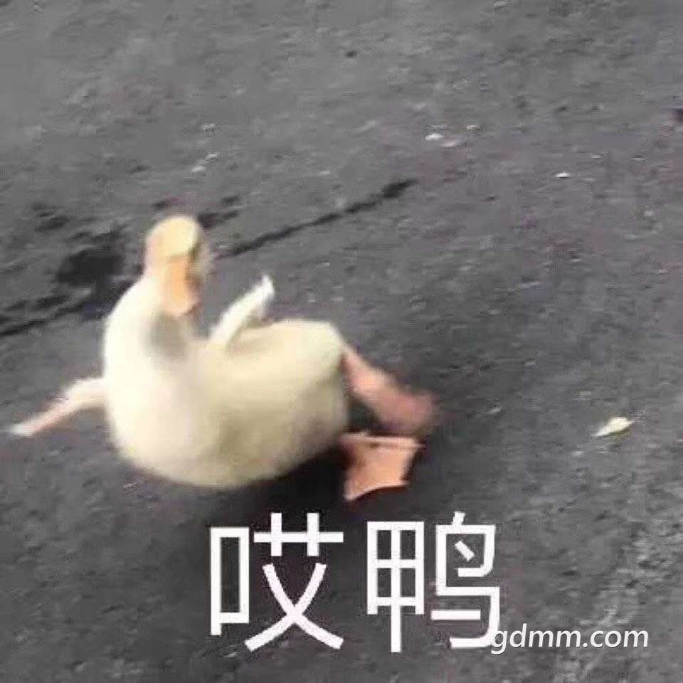 20190926_1982669_1569493596851.jpg